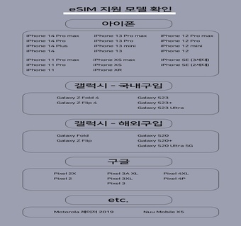 라오스 여행 필수템! eSIM으로 해결하는 로밍 문제 완벽 가이드